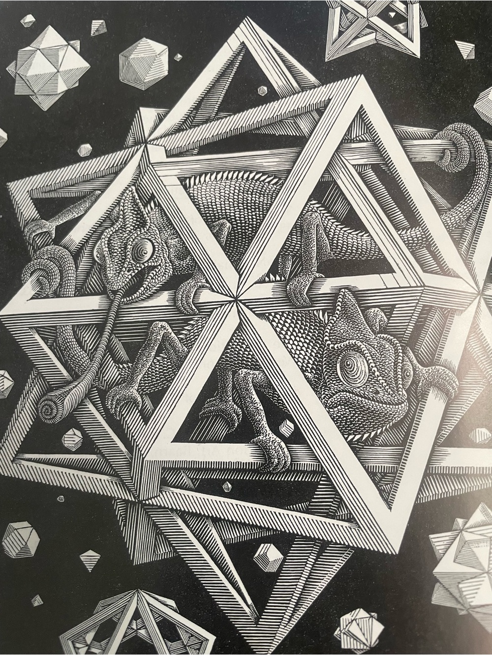 Super Sweet M.C. Escher Kaleidocycles - Book + 14/17 Intact 3D Models origami - Picture 3 of 11